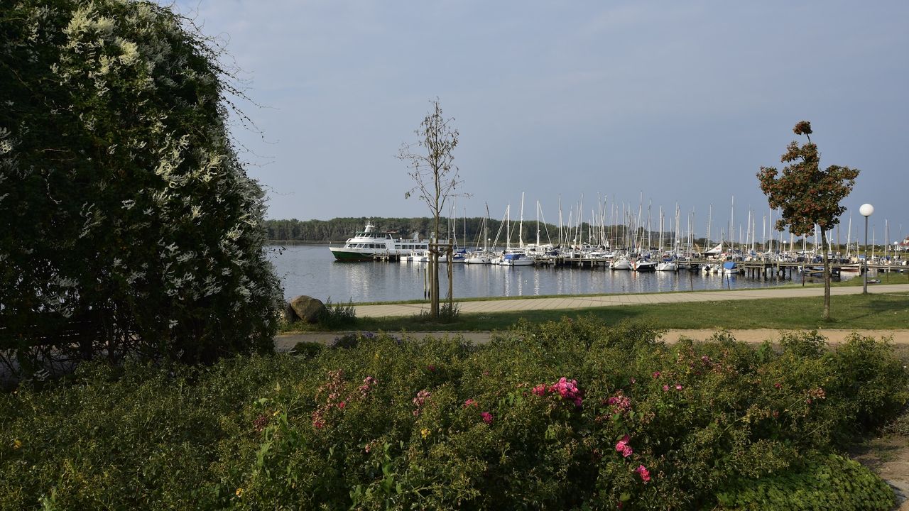 AreaSummer20KM AreaSummer20KM